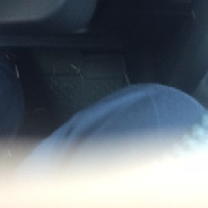 Meet your Posher, Rose